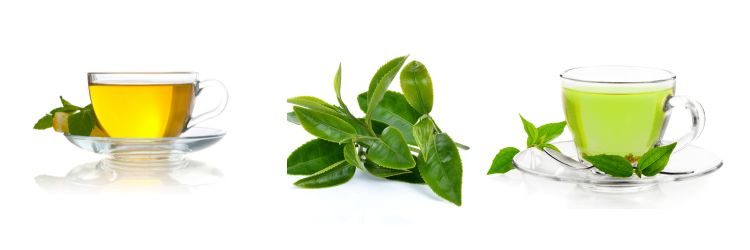 Is Lipton Green Tea Good for You?